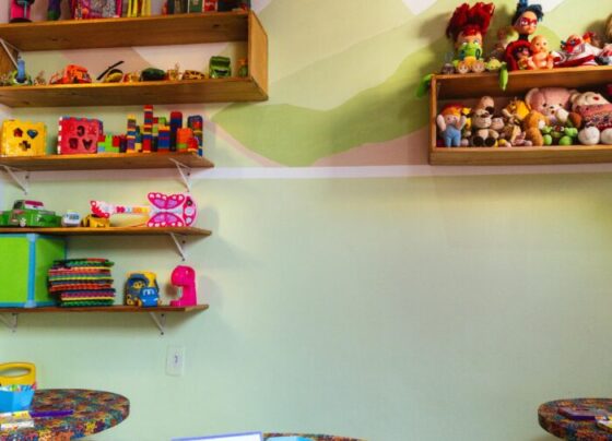 Projeto de estudantes promove reforma de brinquedoteca em ONG no Santa Maria – AJN1