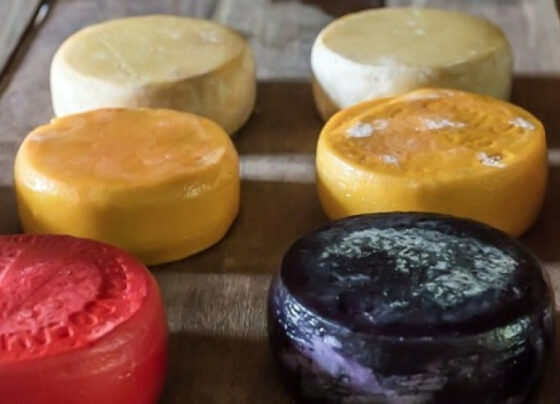 De Minas para o mundo! O queijo mineiro agora é Patrimônio da Unesco | ASN Nacional