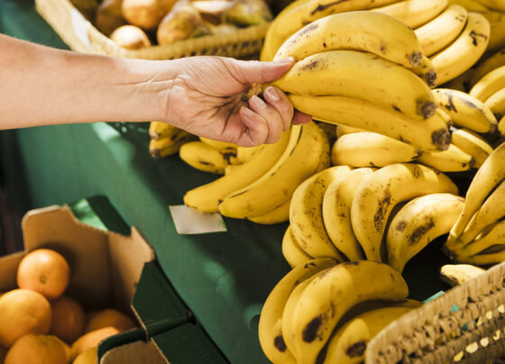 Feira de produtos orgânicos acontece nesta sexta-feira, dia 13, em Aracaju – FaxAju