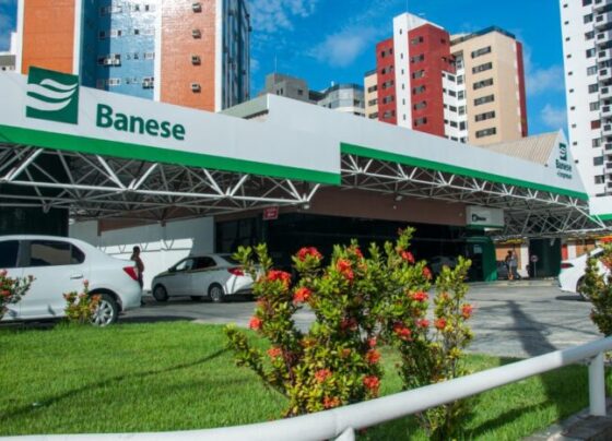 Banese registra lucro líquido de R$ 146,7 milhões em 2024, o maior da história do banco – AJN1