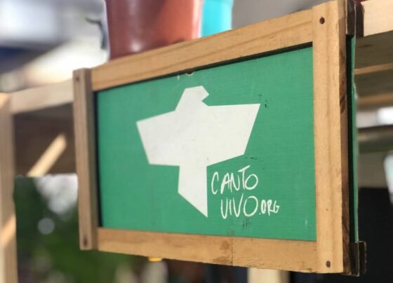 ONGs têm até 10/12 para concorrerem a espaço gratuito como expositores da Expo Verão – FaxAju