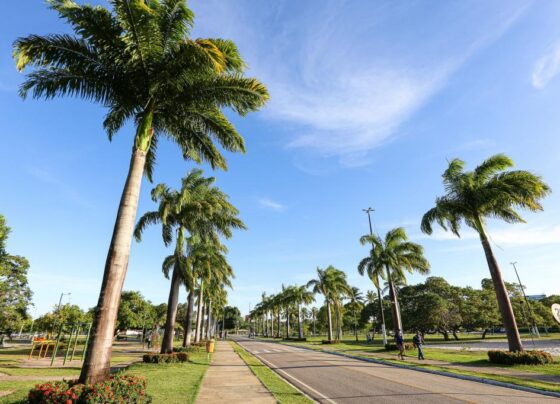 Obra de revitalização do Parque da Sementeira moderniza espaço amado