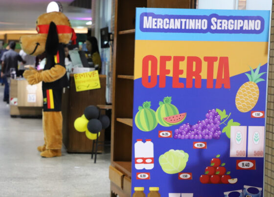 Sebrae realiza evento de conexão entre negócios | ASN Sergipe
