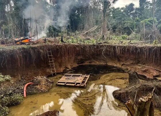 Brasil e França assinam acordo de combate ao garimpo ilegal na Amazônia