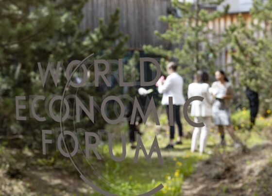 Davos 2025: elite econômica se reúne com guerras liderando riscos globais