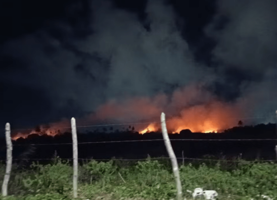 Fogo em vegetação assusta moradores da Zona de Expansão de Aracaju