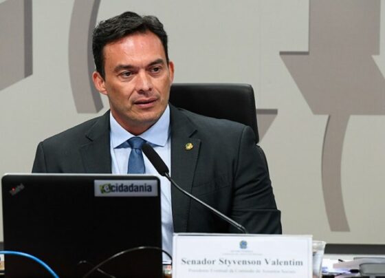 PL garante cancelamento online imediato de serviços de celular e internet – Portal Imprensa 1