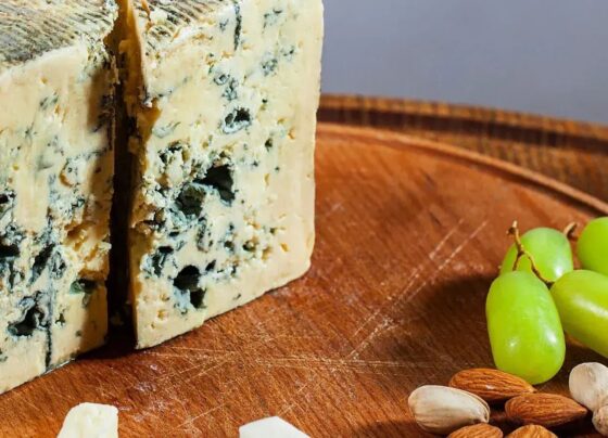 Por Mercosul-UE, produtores de gorgonzola e parmesão terão de reformular embalagens