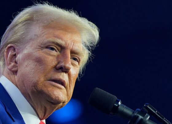 Posse de Trump: Embaixadora representa governo; oposição tem comitiva