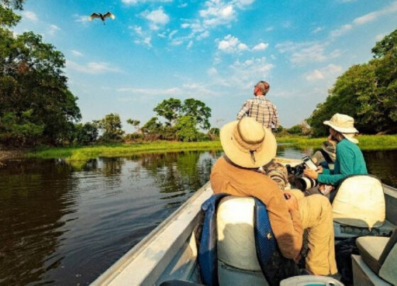 Recorde! Mais de 6,65 milhões de turistas estrangeiros vieram ao Brasil em 2024. Expectativas animam pequenos negócios | ASN Nacional