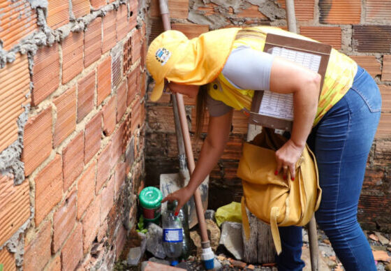 SES divulga primeiro LIRAa do ano e identifica dois municípios sergipanos com alta infestação do Aedes aegypti – AJN1