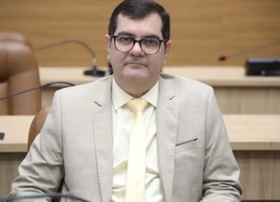 Retrospectiva: Netinho Guimarães destaca biênio 2023-2024 na Alese