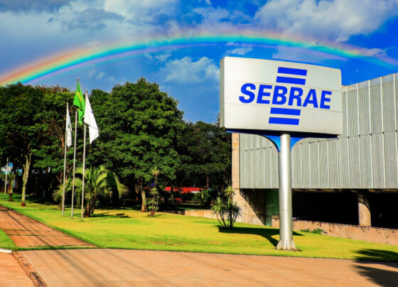 Sebrae abre processo seletivo para vagas na entidade | ASN Nacional