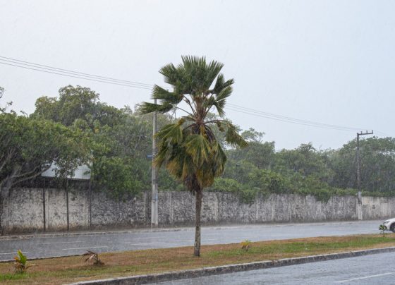 ALERTA METEOROLÓGICO DA SEMAC É MANTIDO ATÉ A SEXTA; ESTADO PODE SER ATINGIDO COM CHUVAS INTENSAS – FaxAju