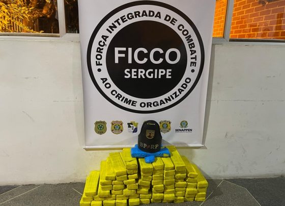 Ação conjunta durante a Ficco/SE resulta em prisão e apreensão de mais de 40 kg maconha no município de São Domingos – P.M.S.E.