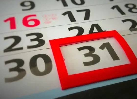 Calendário 2025 de eventos para startups: oportunidades de networking, inovação e sustentabilidade | ASN Nacional