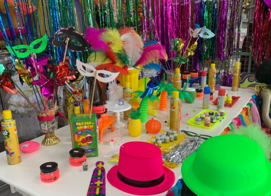 Foliões devem ficar atentos ao escolher artigos para curtir o Carnaval – AJN1