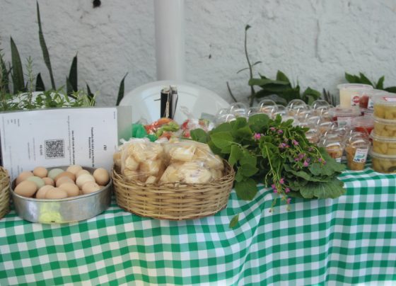 Feira da Agricultura Familiar Itinerante chega à Sergas e fortalece produção local – FaxAju