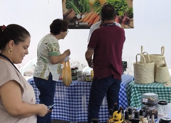 Feira da Agricultura Familiar Itinerante chega ao DER, em Aracaju – FaxAju