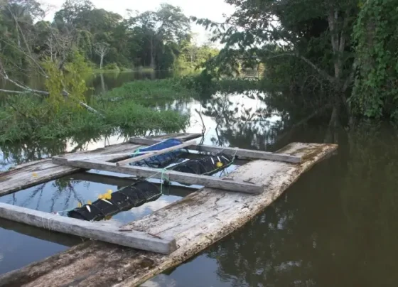 Inova Cerrado e Inova Pantanal recebem inscrições de negócios inovadores | ASN Nacional