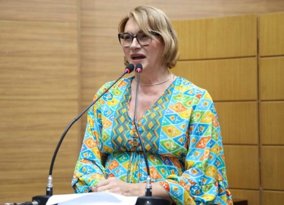 Linda Brasil pede mais condições de trabalho no Hospital Fernando Franco – Portal Imprensa 1