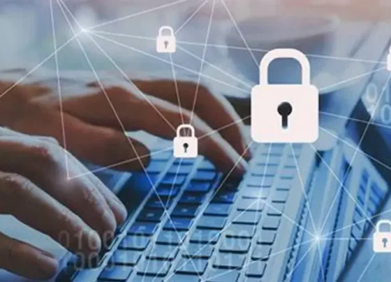 No Dia da Internet Segura, conheça dicas para garantir sua segurança digital | ASN Nacional