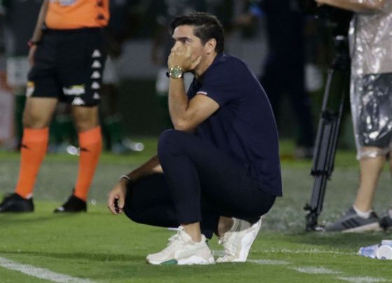 O que Palmeiras precisa para não ser eliminado do Paulistão