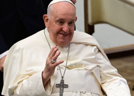 Papa Francisco completa duas semanas internado; noite foi tranquila, diz Vaticano – AJN1
