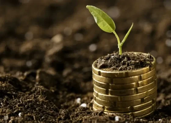 Pequeno agricultor, fique de olho! Começa na segunda (24) ação do governo federal que permite renegociar dívidas | ASN Nacional