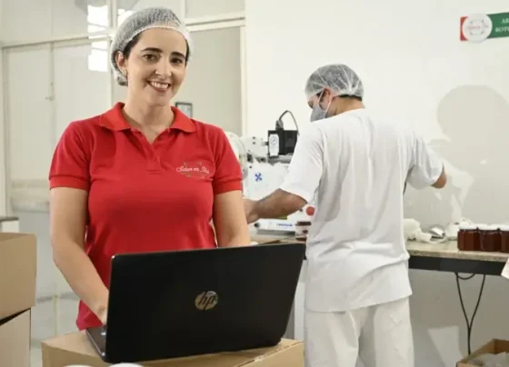 Pequenos negócios dominaram criação de empregos em 2024 | ASN Nacional