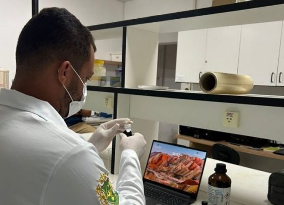 Pesquisa analisa fio de sutura medicamentoso com ação antimicrobiana e cicatrizante – AJN1