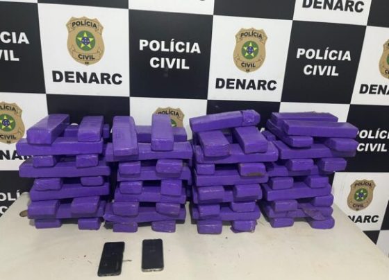 Polícia Civil apreende 66 kg de maconha em ação deflagrada em Itabaiana e Aracaju