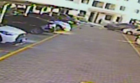 Polícia Civil indicia morador e funcionária de condomínio por atropelamento de gato na Zona Sul de Aracaju – AJN1