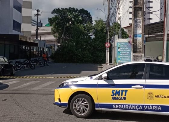 Queda de árvore afeta trânsito e fornecimento de energia no bairro Grageru em Aracaju – FaxAju