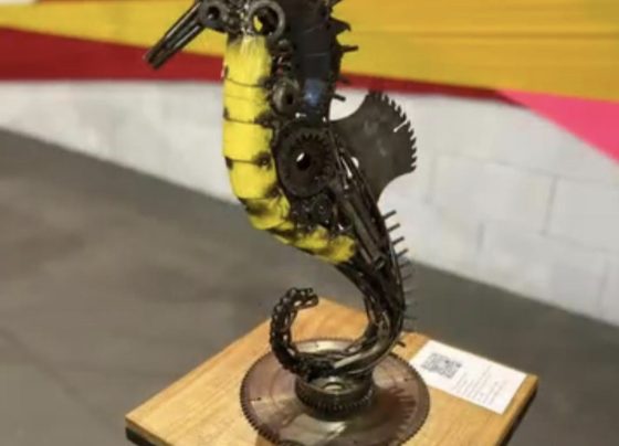 A Exposição “Transformando Sucata em Arte” do artista Dom Pepe está acontecendo na Ferreira Costa