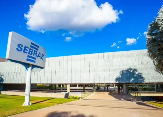 Sebrae abre credenciamento para fornecedores de serviços de Consultoria e Instrutoria | ASN Nacional