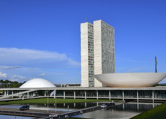 Sem regulamentação, Congresso acumula projetos sobre licença-paternidade