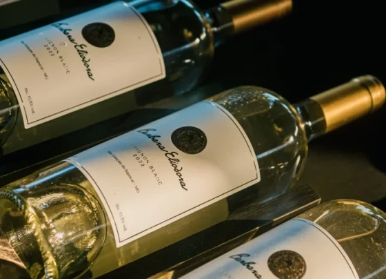 Vinhos de inverno do sul de Minas Gerais são a nova indicação geográfica do país | ASN Nacional