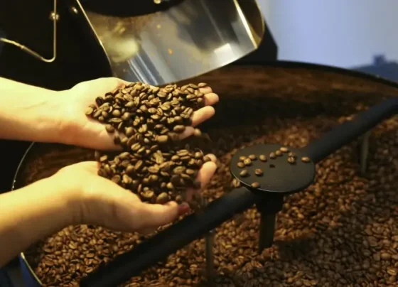 Cafés com Indicação Geográfica aproveitam demanda crescente pela bebida | ASN Nacional