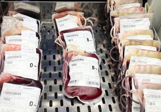 Centro de Hemoterapia de Sergipe convoca doadores com fator Rh negativo para reforçar estoque de sangue – AJN1