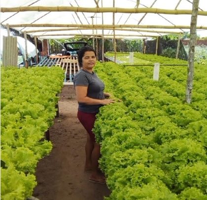 Em Sergipe, crédito do Banco do Nordeste para mulheres do campo cresce 56% – AJN1