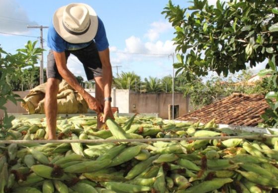 Emdagro e Banco do Nordeste ampliam atendimento a agricultores familiares de Sergipe – AJN1