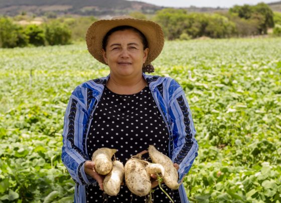 Evento do Sebrae promete fortalecer o protagonismo feminino no agronegócio | ASN Sergipe