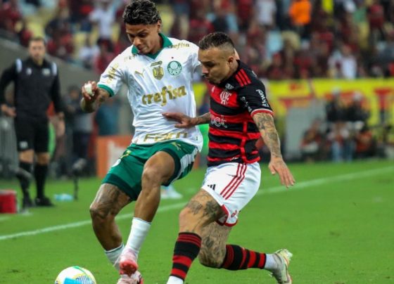 Flamengo e Palmeiras seriam campeões em Portugal? Boto responde