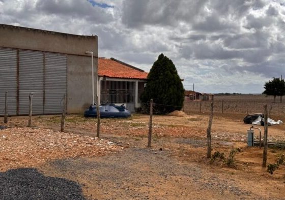 Homem é preso em flagrante após assassinar a mãe em Poço Verde – AJN1