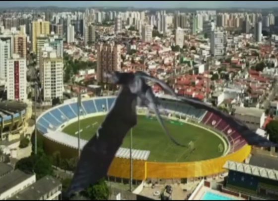 Dragôncio convoca os Azulinos e Azulinas a irem ao Batistão