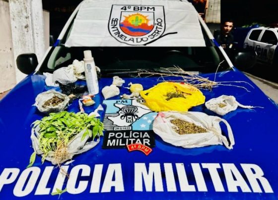 PMSE prende homem com mais de 180 gramas de sementes de maconha em Poço Redondo – P.M.S.E.