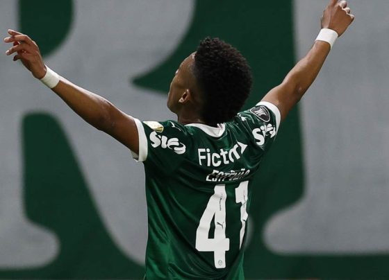 Palmeiras goleia e fecha campanha perfeita na Libertadores