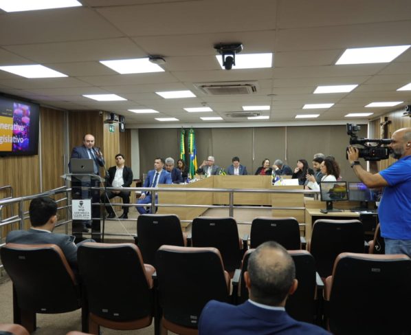 4º reunião da COSGM da Unale acontece na Alese