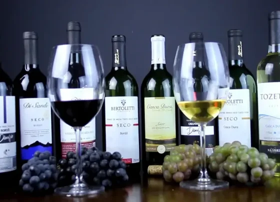 Consumo do vinho brasileiro está em alta. Boa notícia para as pequenas vinícolas e para o enoturismo | ASN Nacional